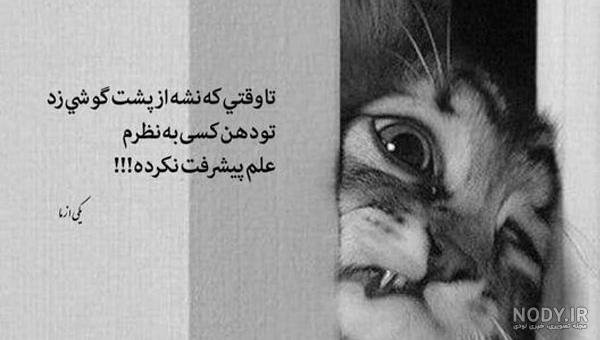  عکس استوری خاص مفهومی