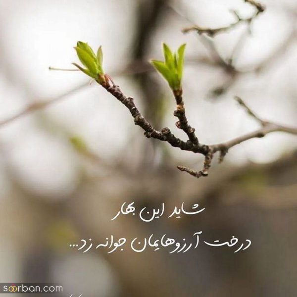  عکس نوشته های مفهومی و سنگین