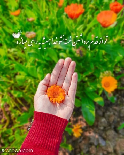  عکس نوشته های زیبا و مفهومی