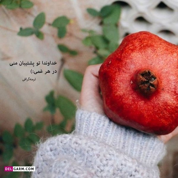  عکس نوشته های زیبا و جدید