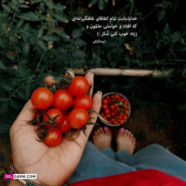  عکس نوشته های زیبا و جدید