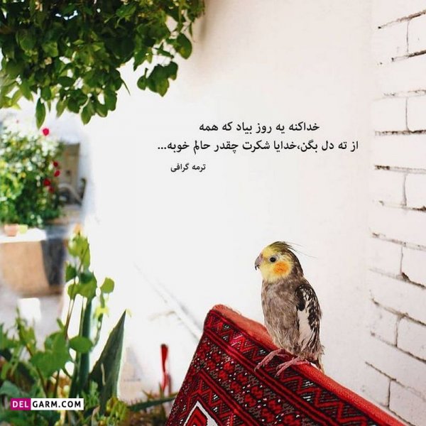  عکس نوشته های زیبا و جدید