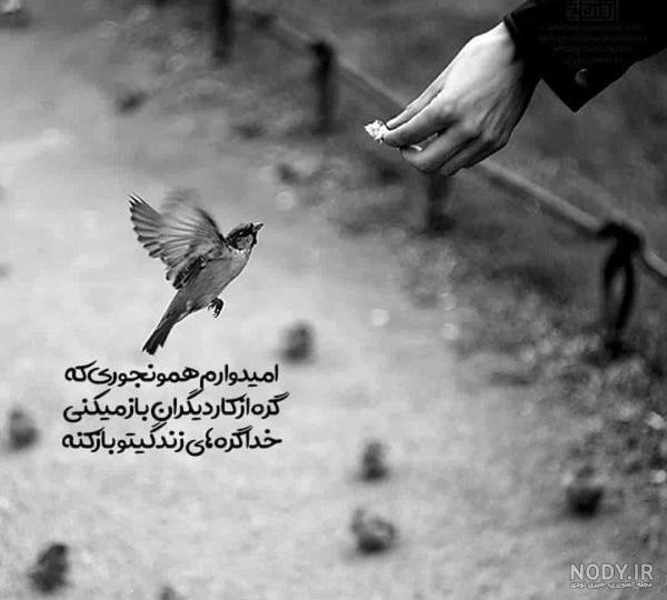  60 عکس نوشته اخلاقی