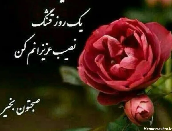  عکس برای استوری اول هفته