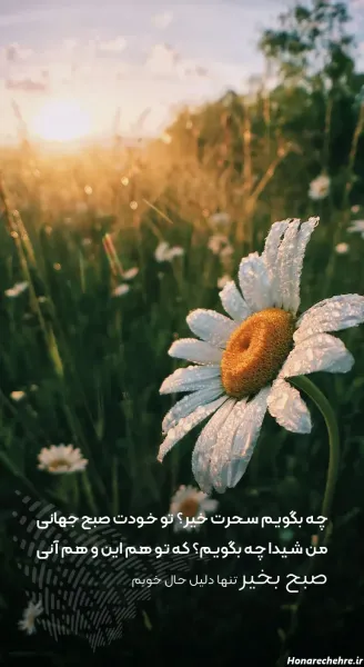  عکس برای استوری اول هفته