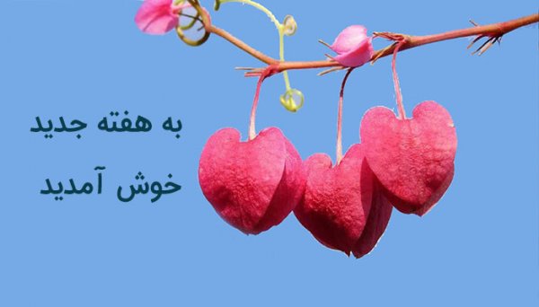  عکس صبح بخیر اول هفته