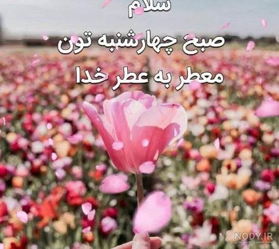  عکس صبح شنبه تون بخیر