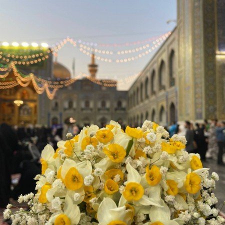  عکس از حرم امام رضا جدید