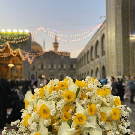  عکس حرم امام رضا امروز