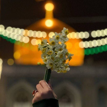  عکس حرم امام رضا امروز