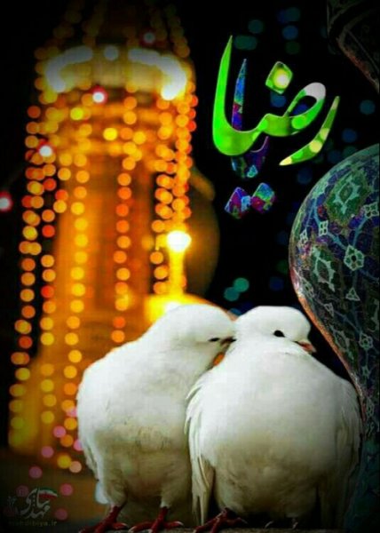  170 پروفایل عکس حرم امام رضا با نوشته زیبا