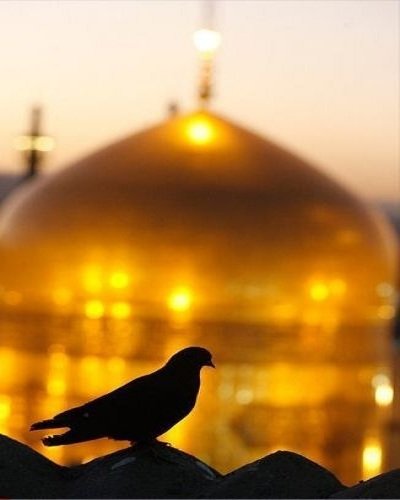  170 پروفایل عکس حرم امام رضا با نوشته زیبا