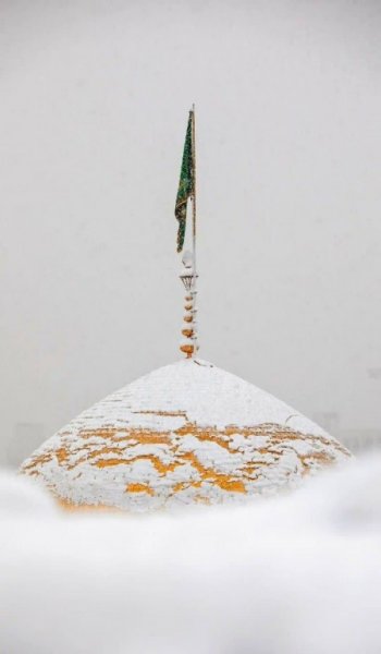  پروفایل امام رضا عاشقتم