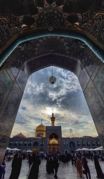  پروفایل امام رضا عاشقتم