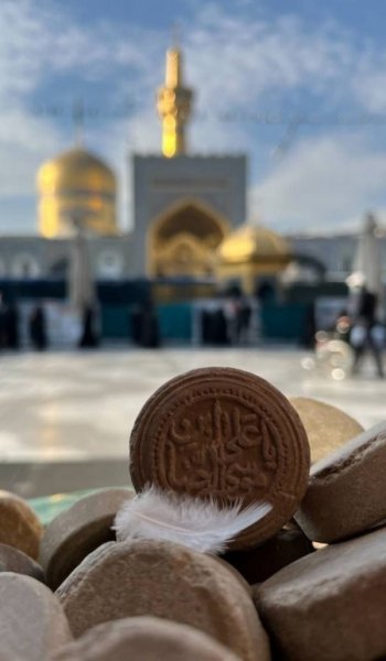  پروفایل امام رضا عاشقتم