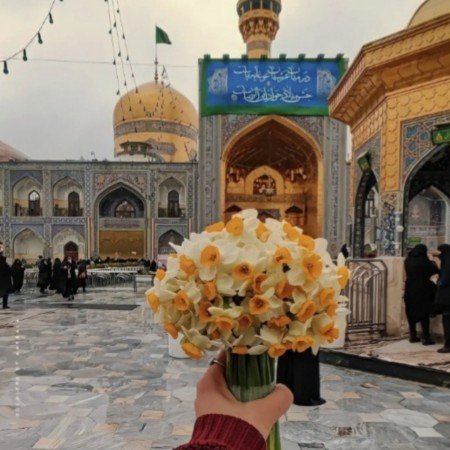  79 عکس ضریح امام رضا