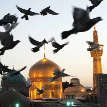  79 عکس ضریح امام رضا