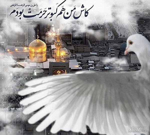 عکس حرم امام رضا با کبوتر