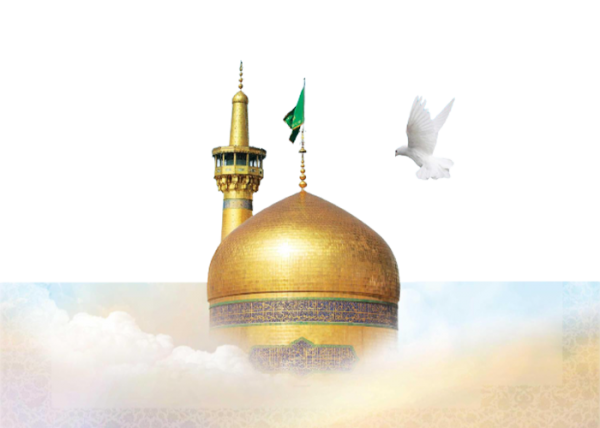  عکس حرم امام رضا با کبوتر