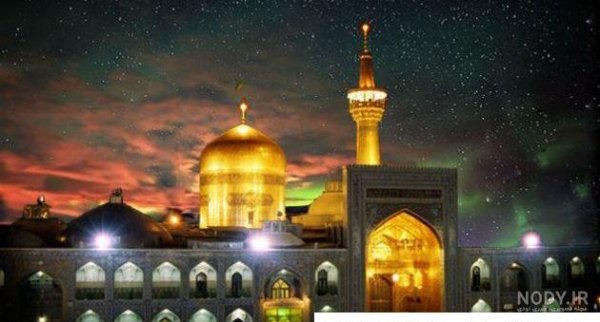  عکس حرم امام رضا با کبوتر