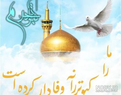  عکس حرم امام رضا با کبوتر
