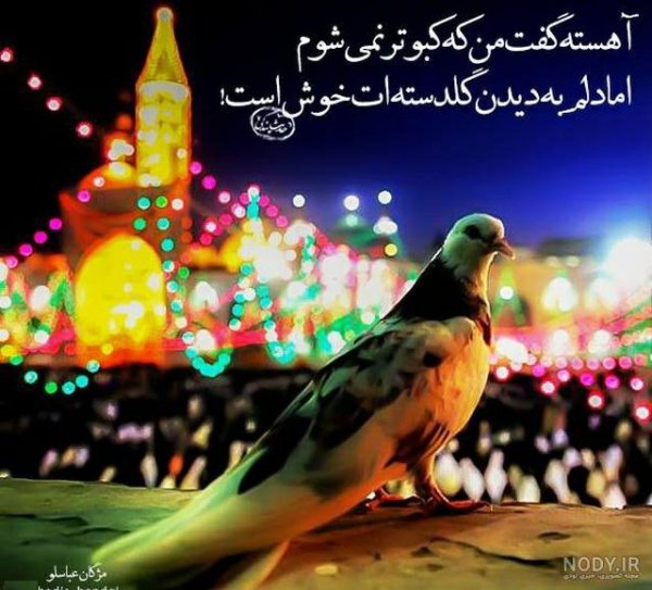  عکس حرم امام رضا با کبوتر