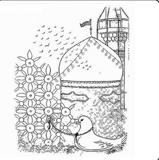  عکس حرم امام رضا با کبوتر