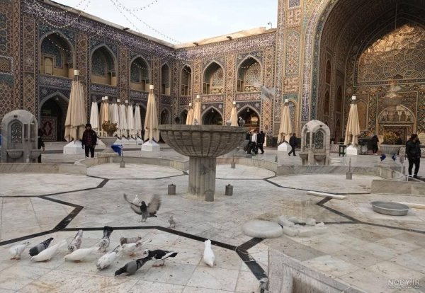  عکس حرم امام رضا با کبوتر برای پروفایل واتساپ