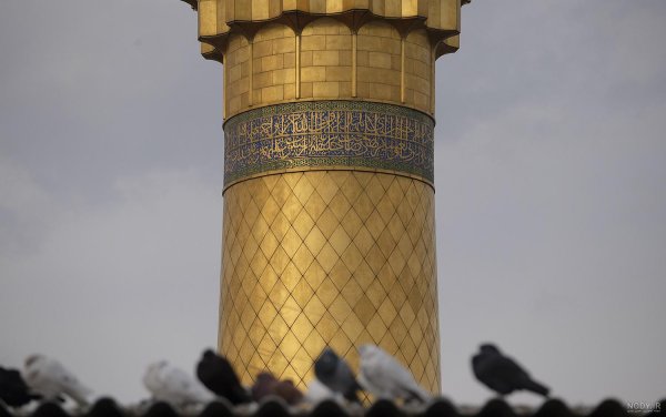  عکس حرم امام رضا با کبوتر برای پروفایل واتساپ