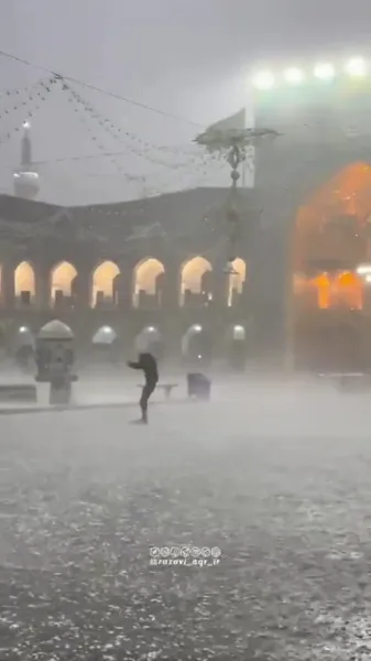  عکس حرم امام رضا با کبوتر برای پروفایل واتساپ