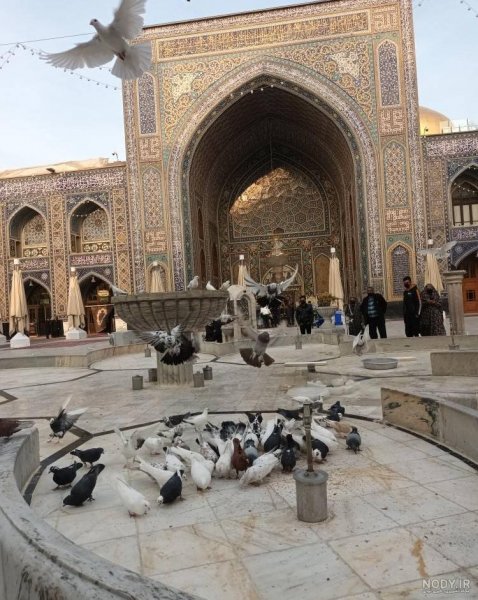  عکس حرم امام رضا با کبوتر برای پروفایل واتساپ