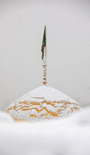  پروفایل عکس حرم امام رضا با نوشته زیبا