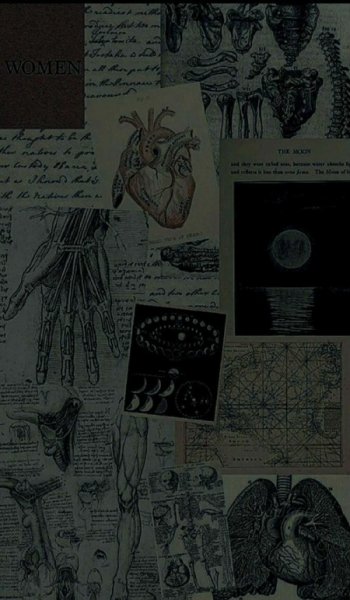  عکس موفقیت برای پروفایل