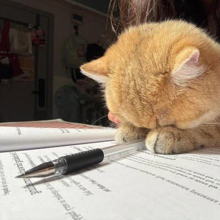  70 عکس پروفایل موفقیت درسی