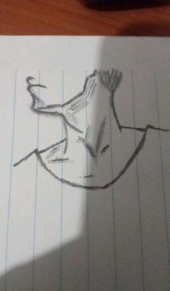  70 عکس پروفایل موفقیت درسی