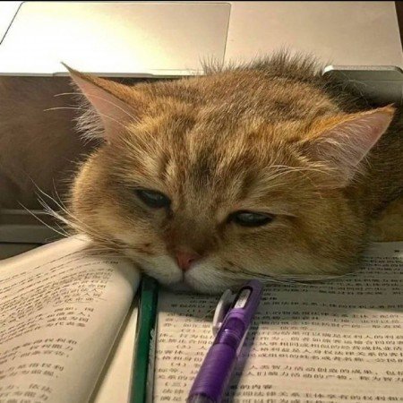  70 عکس پروفایل موفقیت درسی