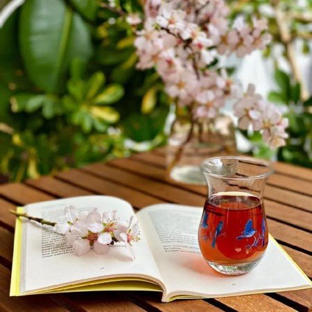  45 عکس خوب برای استوری