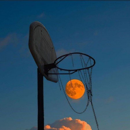 عکس فیک باشگاه بدنسازی دخترانه