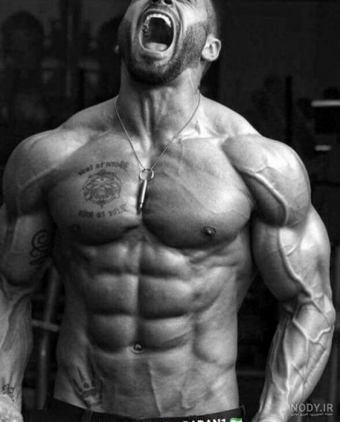  عکس فیک پسر بدنساز