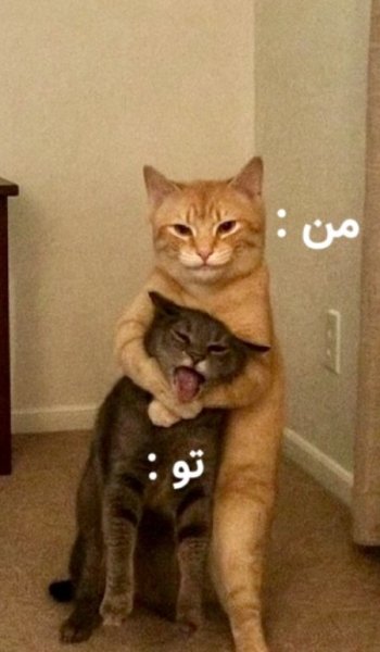  عکس برای استوری با متن