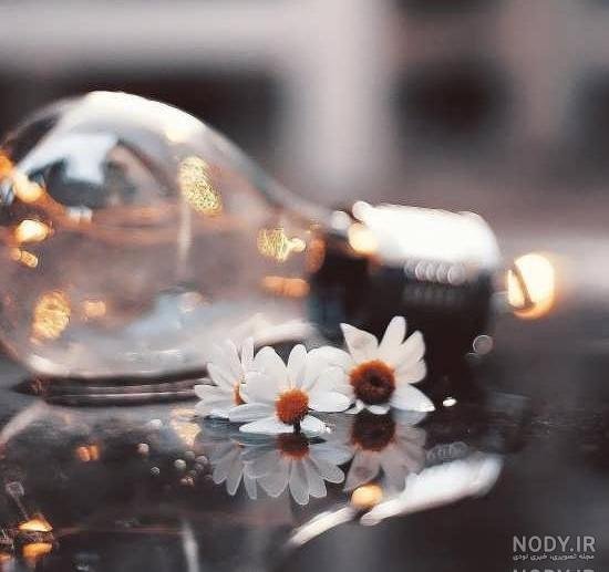  عکس برای استوری بدون نوشته