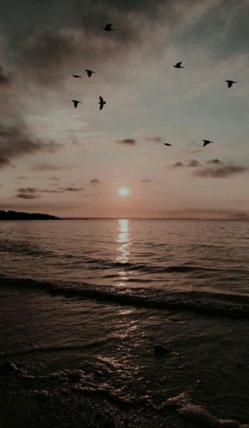  112 عکس استوری اینستاگرام