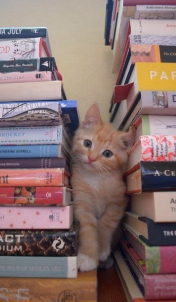  200 عکس استوری خاص