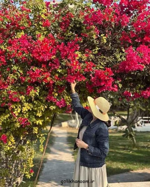  117 عکس پروفایل 2025