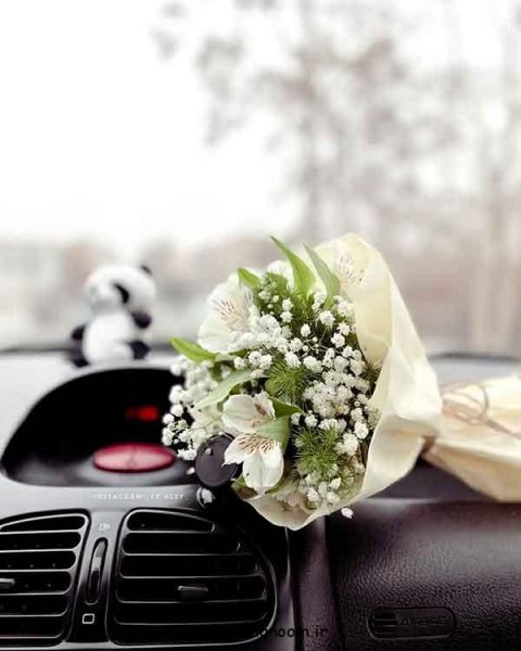  117 عکس پروفایل 2025