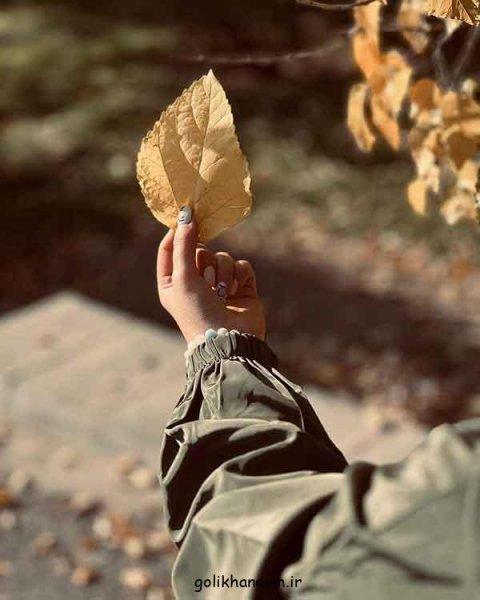  117 عکس پروفایل 2025