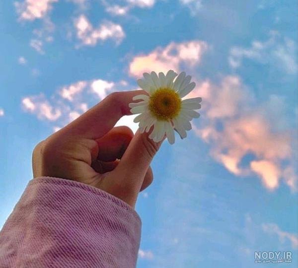 عکس استوری اینستاگرام بدون متن