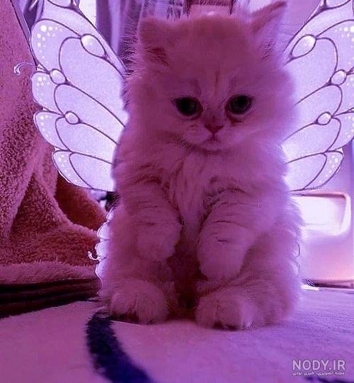  عکس استوری اینستاگرام بدون متن