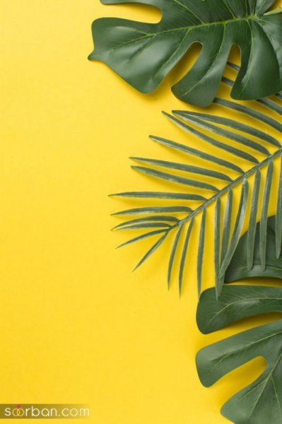  عکس بدون متن برای نوشتن