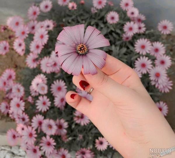  عکس بدون متن در مورد زندگی